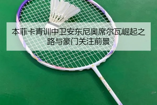 本菲卡青训中卫安东尼奥席尔瓦崛起之路与豪门关注前景