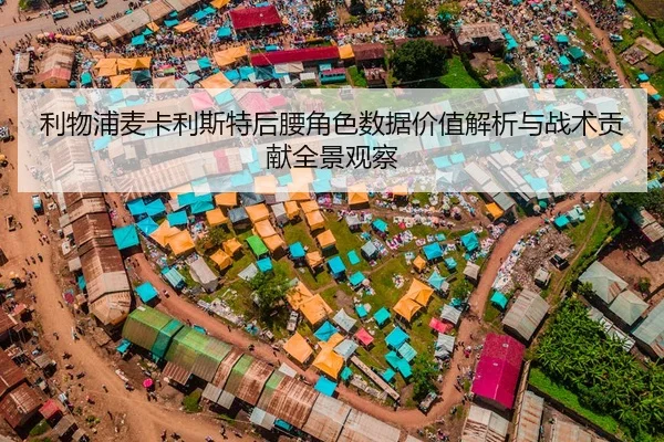 利物浦麦卡利斯特后腰角色数据价值解析与战术贡献全景观察