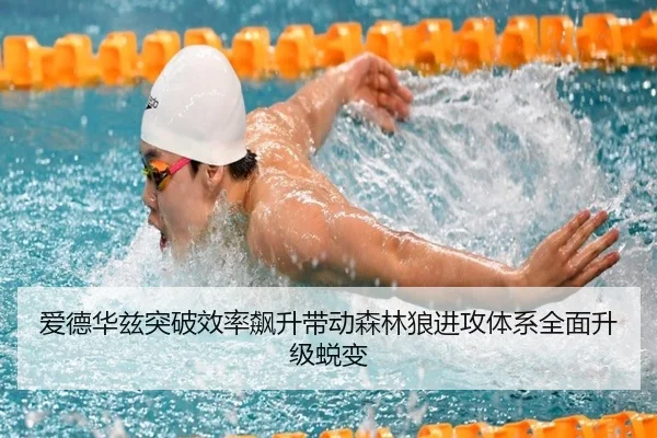 爱德华兹突破效率飙升带动森林狼进攻体系全面升级蜕变