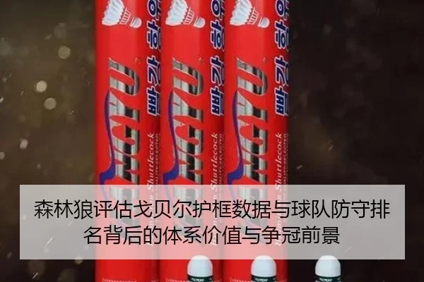 森林狼评估戈贝尔护框数据与球队防守排名背后的体系价值与争冠前景